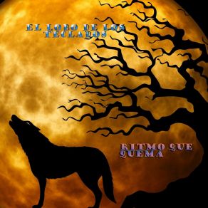 Download track Saporrita El Lobo De Los Teclados