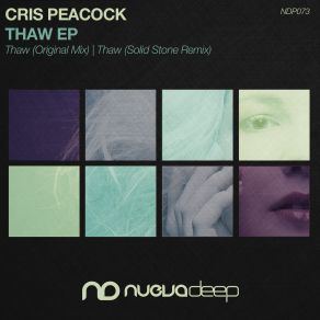 Download track Thaw Cris Peacock