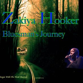 Download track Another Kind Of Blues Zakiya Hooker