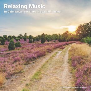 Download track Serene Music Slow Music