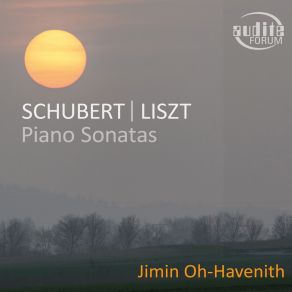 Download track 05. Piano Sonata In B Minor, S. 178 Franz Schubert