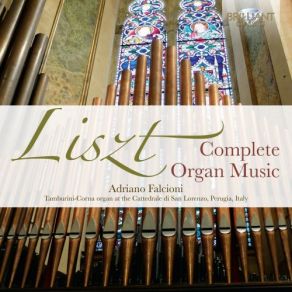 Download track Missa Pro Organo Lectarum Celebrationi Missarum Adjumento Inserviens, S. 264: VI. Sanctus - Maestoso Adriano Falcioni