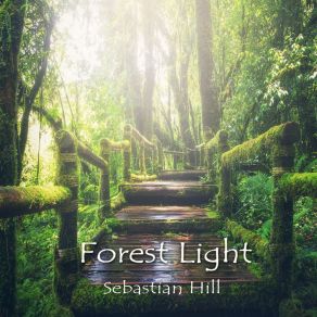 Download track Vibe Of The Wood Sebastian Hill