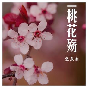 Download track 桃花殇 苏辰念