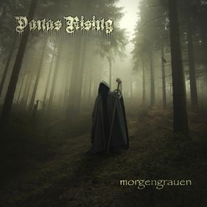 Download track Psycho Ritual Danas Rising