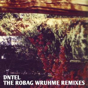 Download track Jitters (Robags Marf Labo Mix) DntelRobag Wruhme