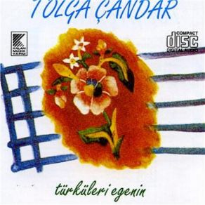 Download track Sobalarında Kuru Da Meşe Yanıyor Tolga Çandar