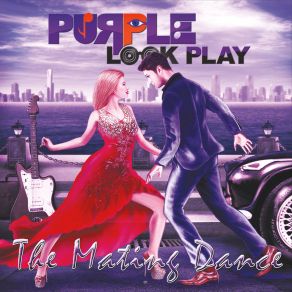 Download track Stop Fighting Destiny Purple Look Play