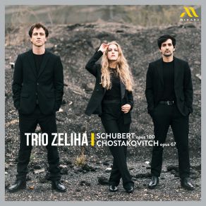 Download track Shostakovich: Piano Trio No. 2 In E Minor, Op. 67: III. Largo Trio Zeliha