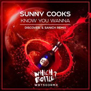 Download track Know You Wanna (DiscoVer. & Sanich Radio Edit) Sunny CooksDiscover