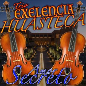 Download track Mi Vicio Mas Grande Trio Excelencia Huasteca