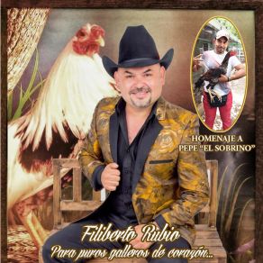 Download track Pepe Filiberto Rubio