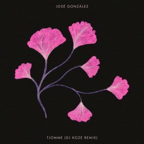 Download track Tjomme (DJ Koze Remix) José GonzálezDJ Koze