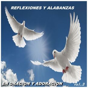 Download track Pobre Rico Reflexiones