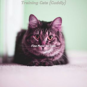 Download track Excellent (Training Cats) Fine Music For Cats