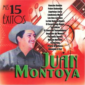 Download track Los Dos Laredos Juan Montoya