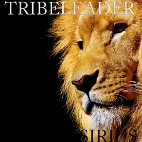 Download track NEXT TECH 777 (Instrumental) TribeleaderΟΡΓΑΝΙΚΟ