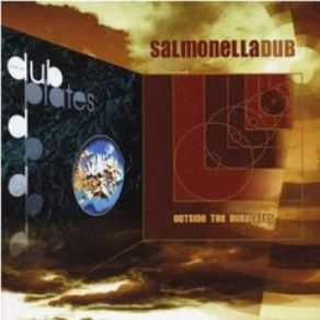 Download track Loop 7 (DLT Version) Salmonella Dub