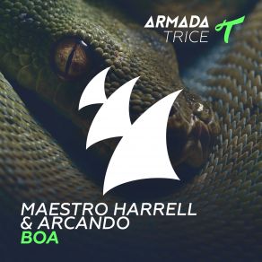 Download track Boa Maestro Harrell, Arcando