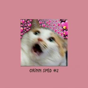 Download track Em Ơi Đừng Sầu (Speed Up) Orinn Sped