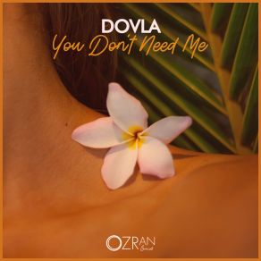 Download track You Don't Need Me (Intro Mix) Dovla