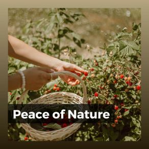 Download track Earth Had A Pulse Sonidos De La Naturaleza