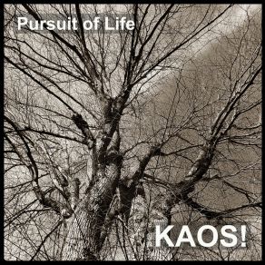 Download track Pursuit Of Life Kaos