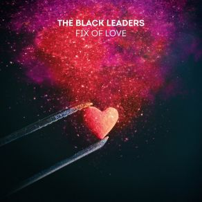 Download track Mister President Black Leaders