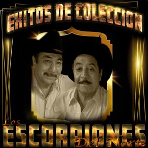 Download track Cancion Del Alma Los Escorpiones Del Norte