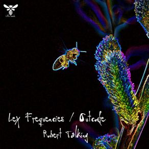 Download track Robert Talking (Outcode Remix) Lex FrequenciesOutcode