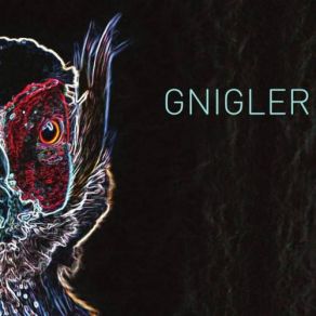 Download track Blumenharnisch Gnigler