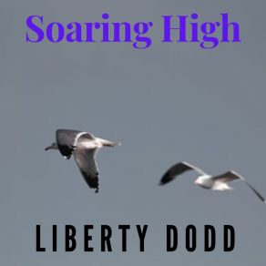 Download track Afterwards Bring Your Friends Liberty Dodd