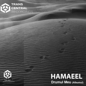 Download track Liniștea Mea Hamaeel