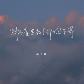 Download track 明知道要放下却又舍不得 花不晚