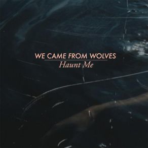 Download track Haunt Me We Came From Wolves