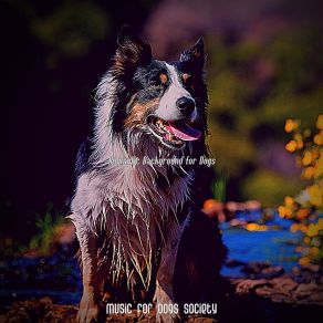 Download track Cheerful Ambiance For Dogs Music For Dogs Society