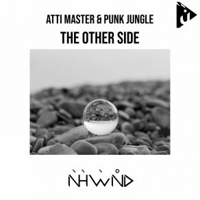 Download track The Other Side (Radio Mix) Punk Jungle