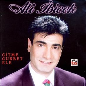 Download track Bana Bir Şey Olmaz Deme Ali İbicek