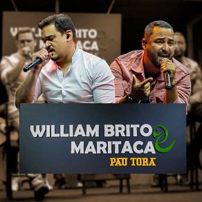 Download track Só Pensando Em Você / Só Falta Você / Olha Pra Mim (Ao Vivo) William Brito E Maritaca