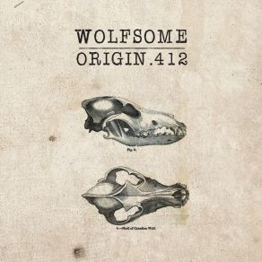 Download track Run Wolfsome