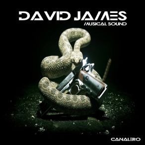 Download track Primate David James Musical Sound