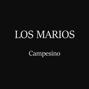 Download track Cumbia San Felipe Los Marios