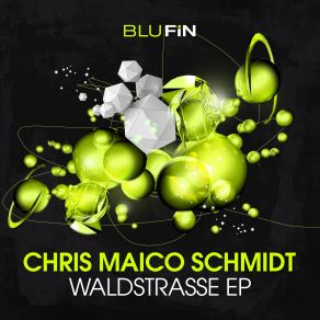 Download track Waldstrasse 04 Chris Maico Schmidt