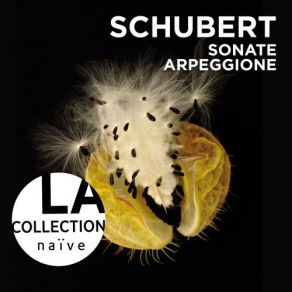 Download track Schwanengesang, D. 957: No. 13, Der Doppelganger Anne Gastinel, Claire Désert