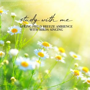 Download track Spring Field Breeze Ambience With Birds Singing, Pt. 2 Sebastian Riegl