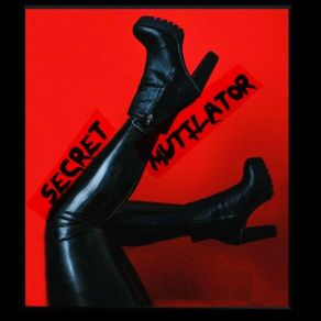 Download track Statues Of The Virgin Secret Mutilator