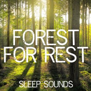 Download track Forest Birds Sleep Sounds