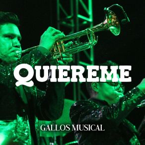 Download track Quiéreme Como Te Quiero Gallos Musical