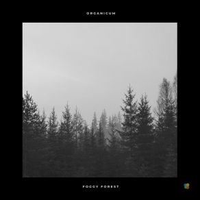 Download track Foggy Forest (Original Mix) Organicum