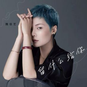 Download track 留什么给你 (DJ版伴奏) 魏佳艺沈念